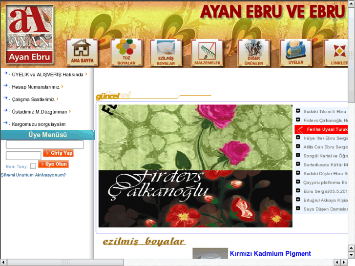 www.ayanebru.com