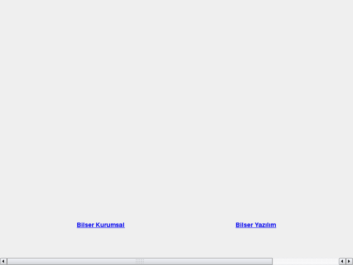 www.bilseryazilim.net