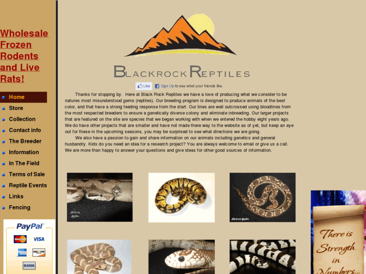 www.blackrockreptiles.com