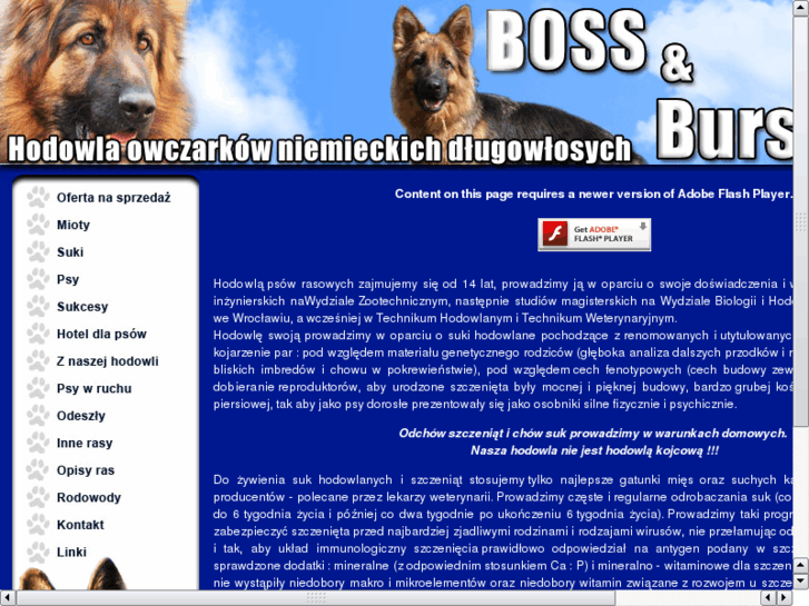 www.boss-bursztyn.com