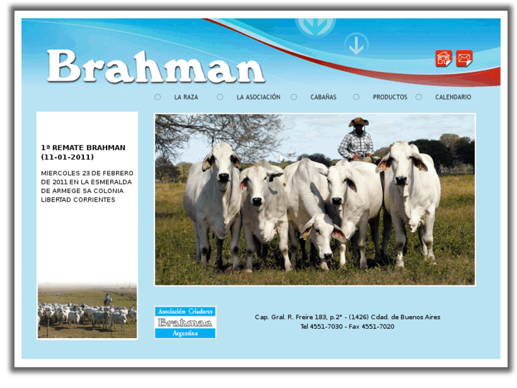www.brahman.org.ar