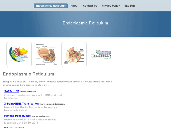 www.endoplasmicreticulum.net