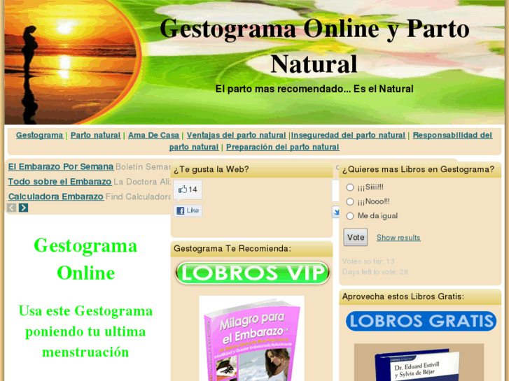 www.gestograma.net