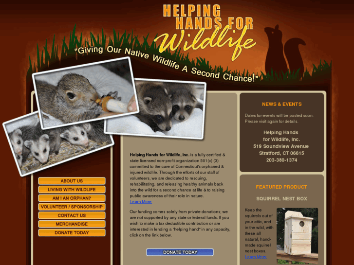 www.helpinghandsforwildlife.com