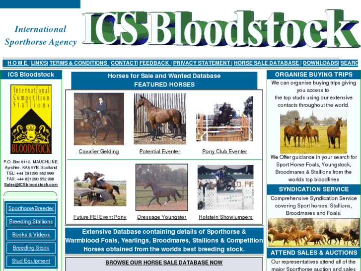 www.icsbloodstock.co.uk