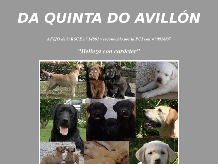 www.quintadoavillon.com