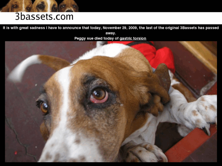 www.3bassets.com