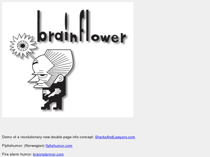 www.brainflower.com