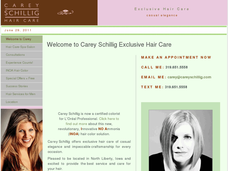 www.careyschillig.com