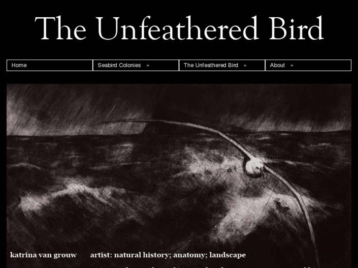 www.unfeatheredbird.com