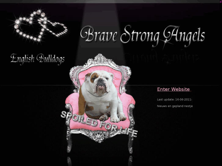 www.bravestrongangels.nl