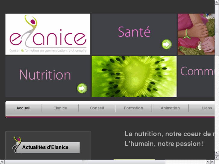 www.elanice.com