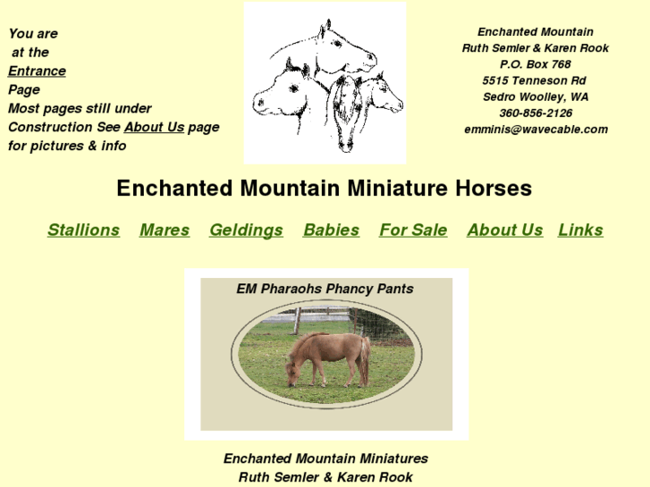 www.enchantedmountainminiatures.com