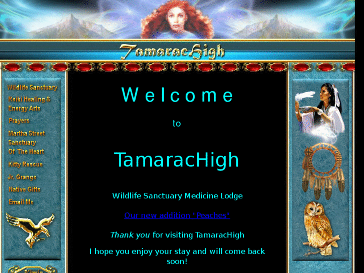 www.tamarachigh.com