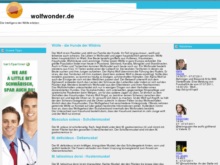 www.wolfwonder.de