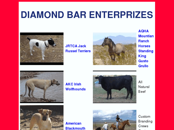 www.diamondbarenterprizes.com