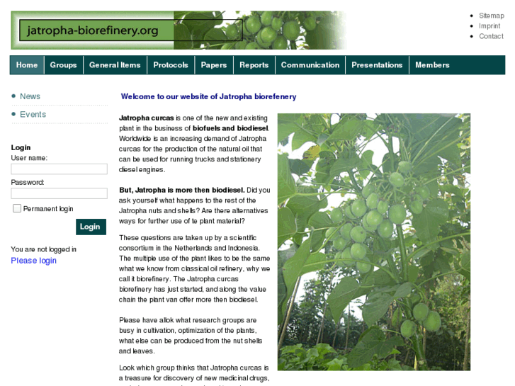 www.jatropha-biorefinery.org