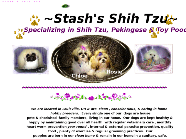 www.stashsshihtzu.com