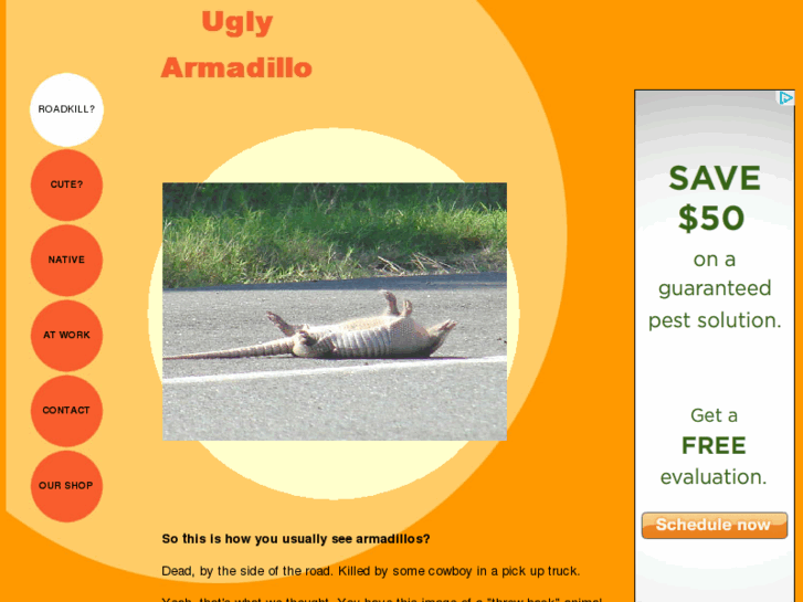 www.uglyarmadillo.com