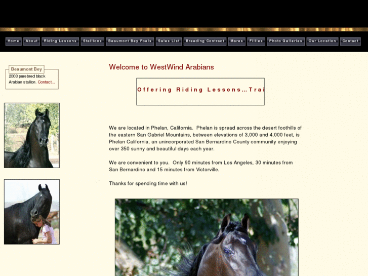 www.westwindarabianranch.com