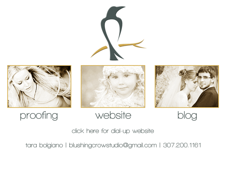 www.blushingcrow.com