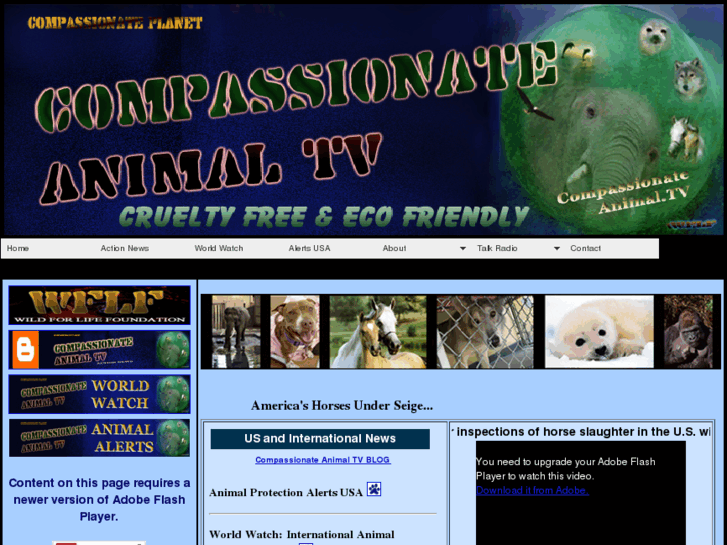 www.compassionateanimal.tv