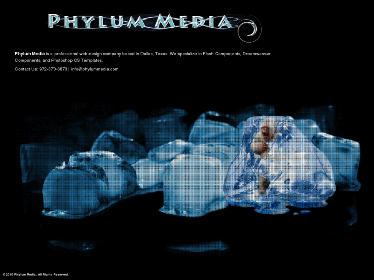 www.phylummedia.com