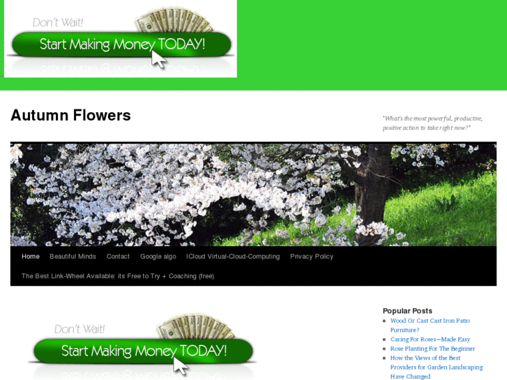 www.autumnflowers.org