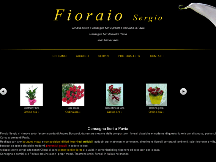 www.fioraiosergio.it