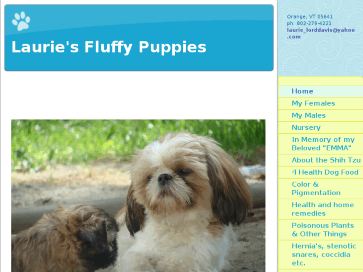 www.lauriesfluffypuppies.com