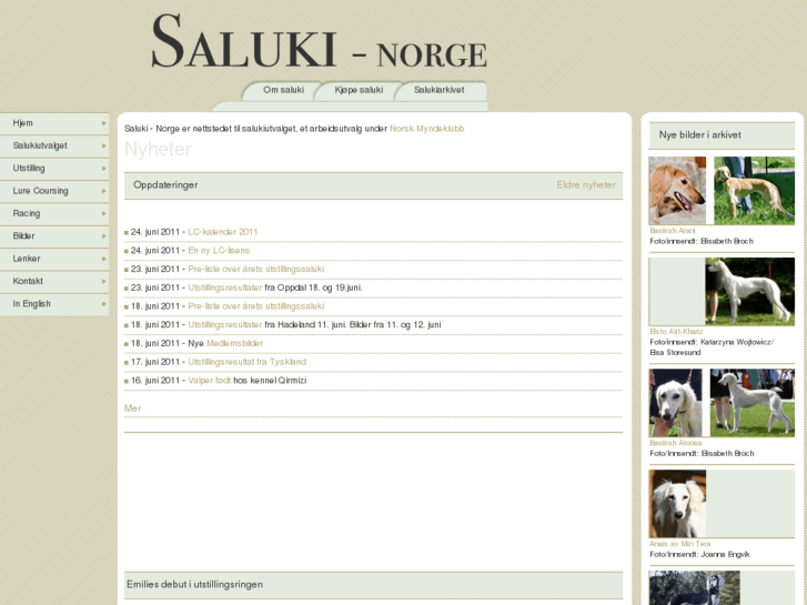 www.saluki-norway.com