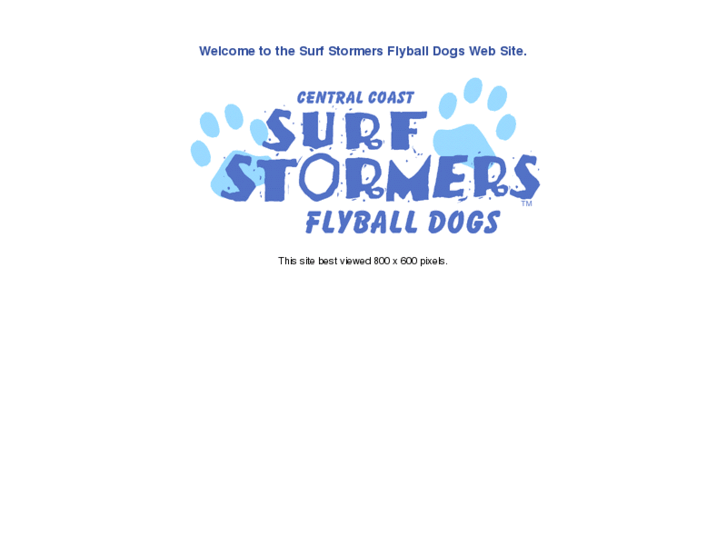 www.surfstormers.org