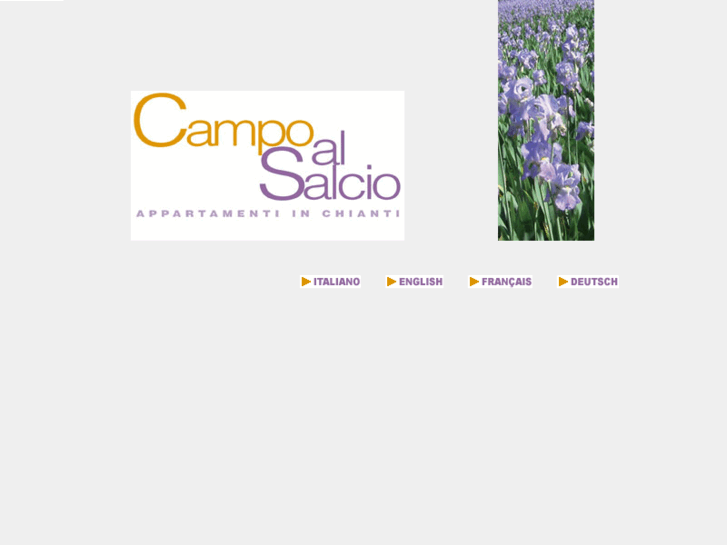 www.campoalsalcio.com