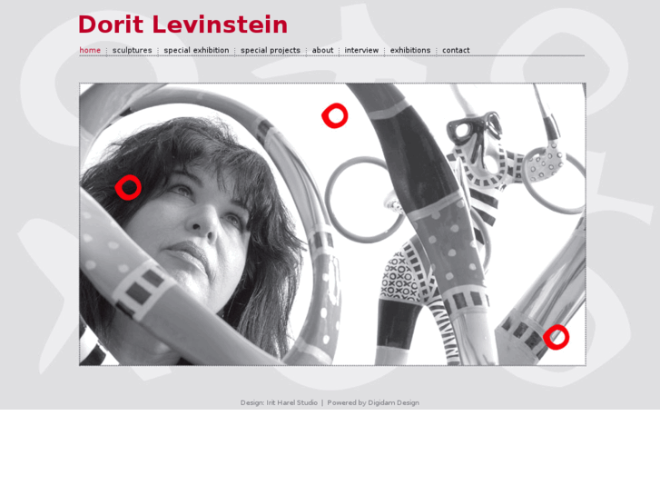 www.dorit-levinstein.com