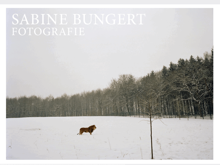 www.sabinebungert.de