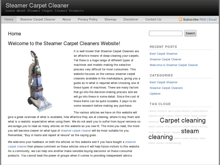 www.steamercarpetcleaner.net