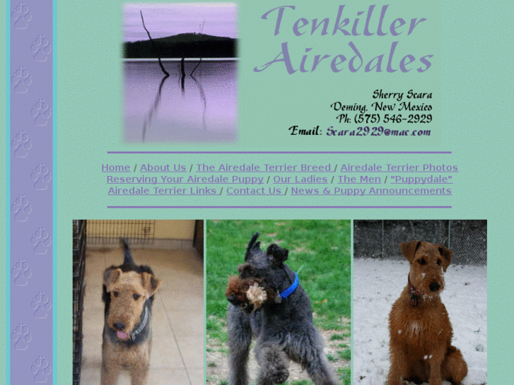 www.tenkillerairedales.com