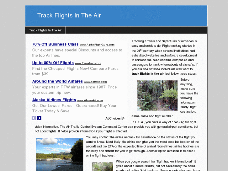 www.trackflightsintheair.com