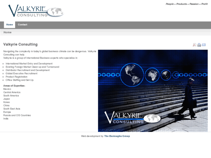 www.valkyrieconsulting.com