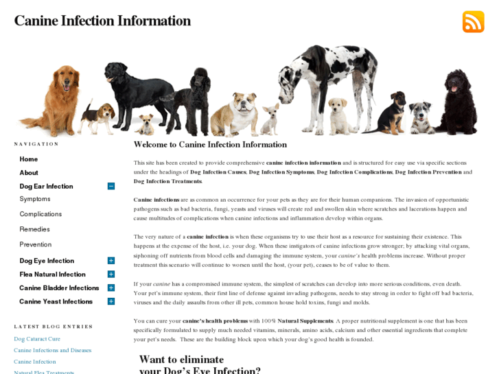 www.canine-infection-information.com