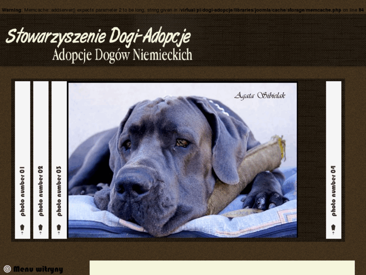 www.dogi-adopcje.pl