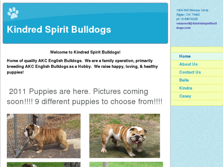 www.kindredspiritbulldogs.com