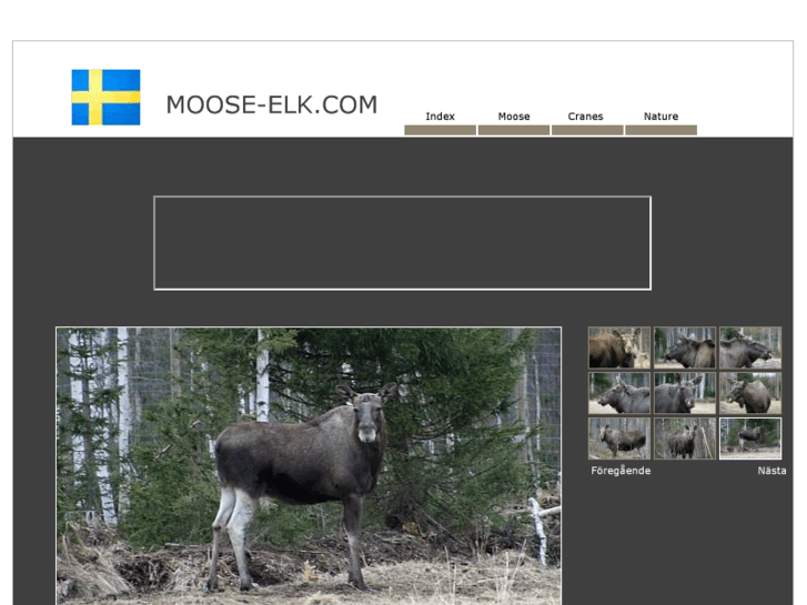 www.moose-elk.com