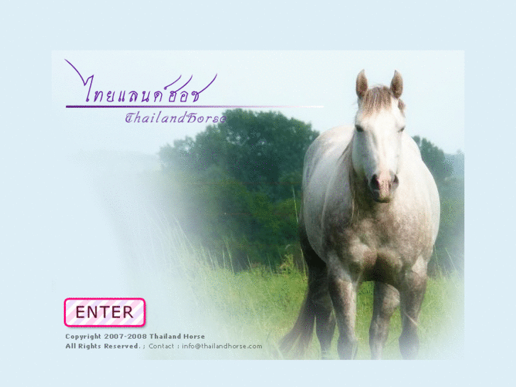 www.thailandhorse.com