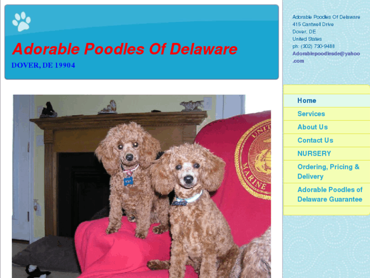 www.adorablepoodlesde.com