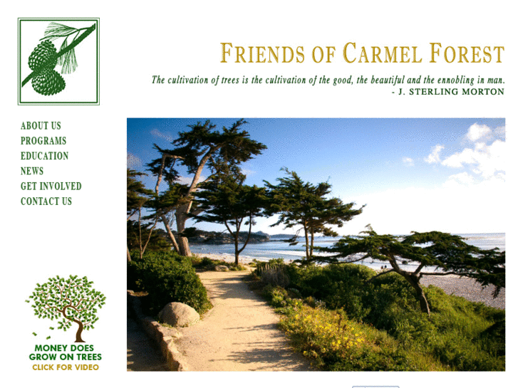 www.carmelforest.org