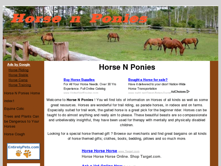 www.horsenponies.com