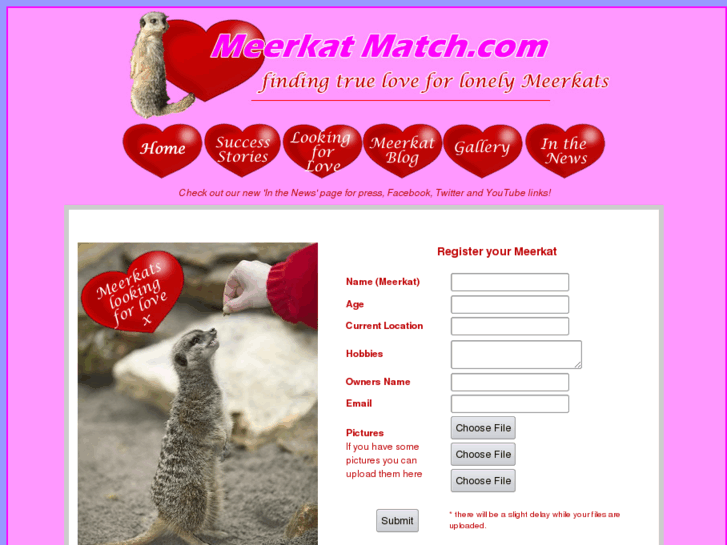 www.meerkatmatch.com