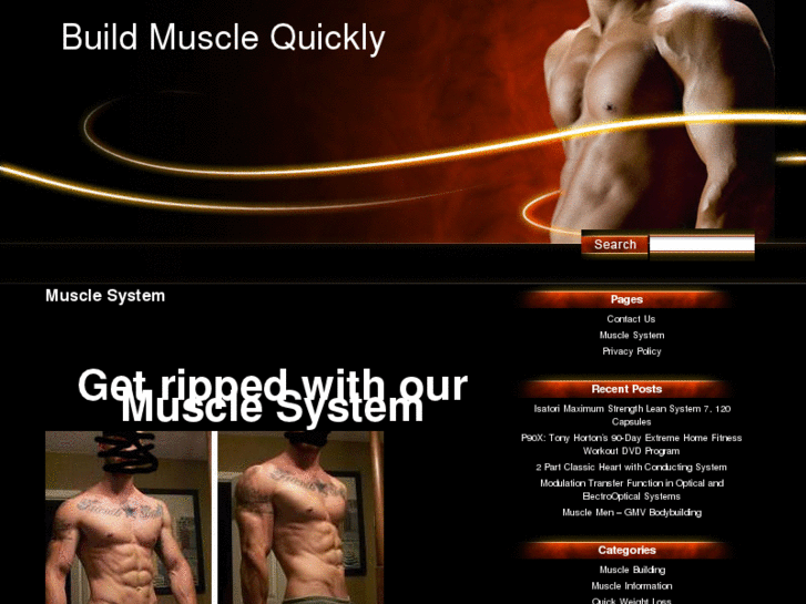 www.musclesystem.net