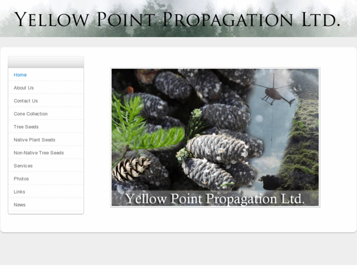 www.yellowpointpropagation.com